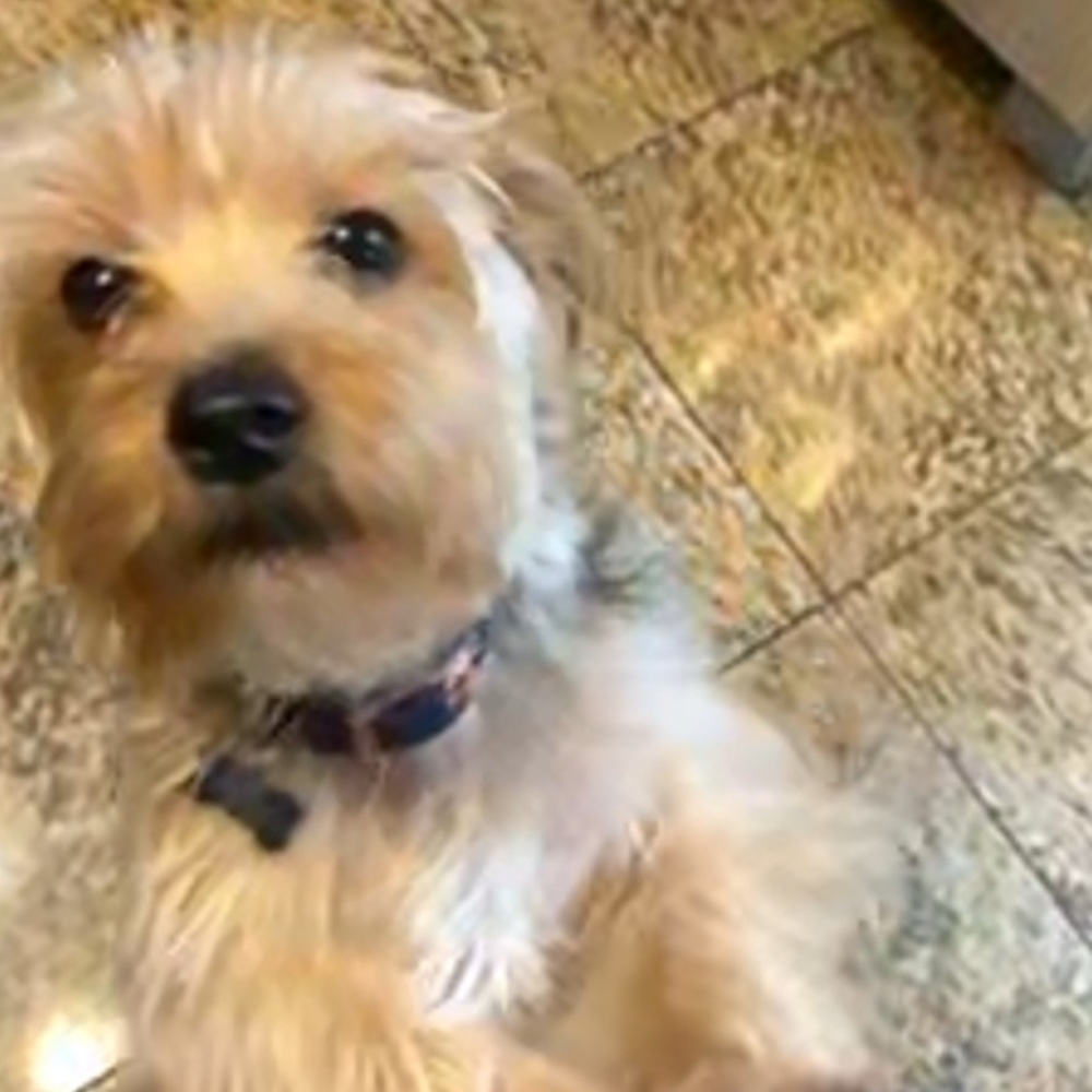 Meet your Posher, Liz